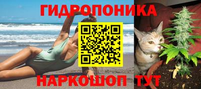 соль ск Пугачёв