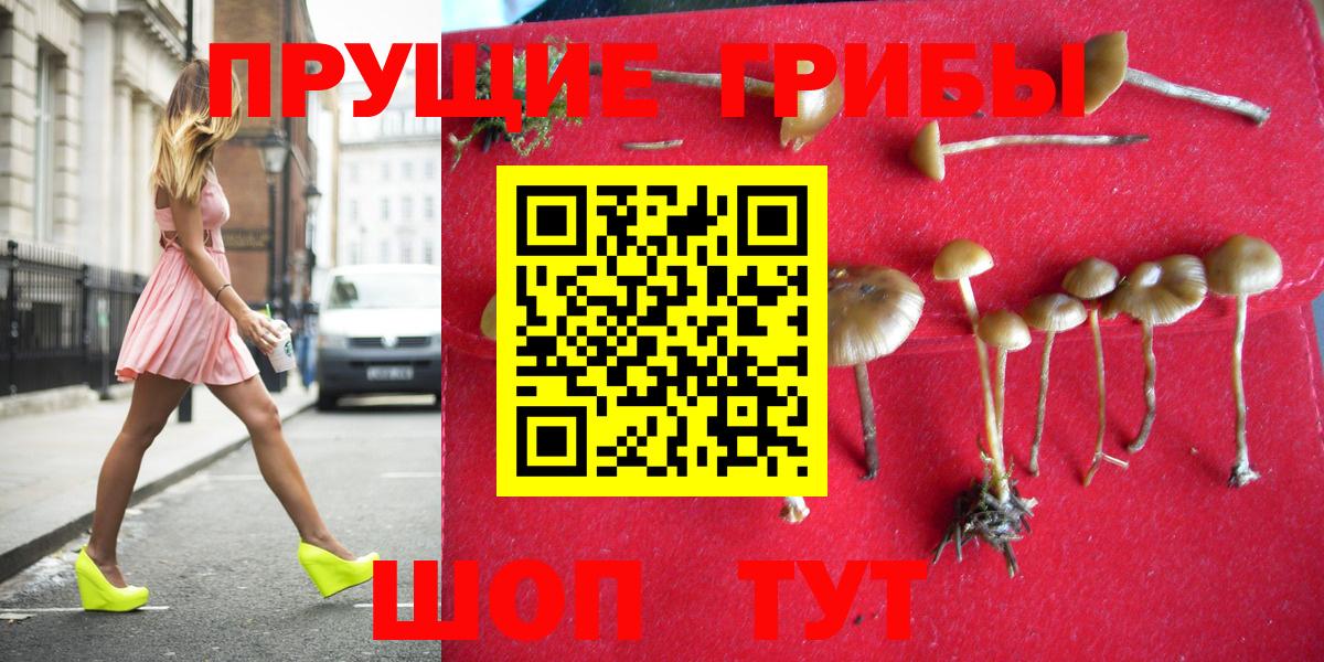 Полевской  Псилоцибиновые грибы прущие грибы  закладка  Вход с VPN  Галлюциногенные грибы Psilocybe 